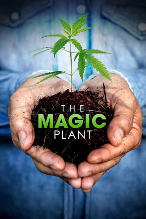 Poster for The Magic Plant