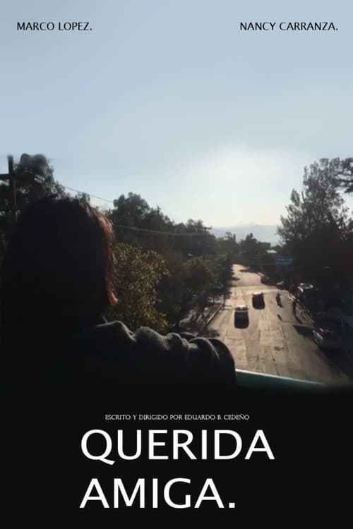 Poster for Querida Amiga.
