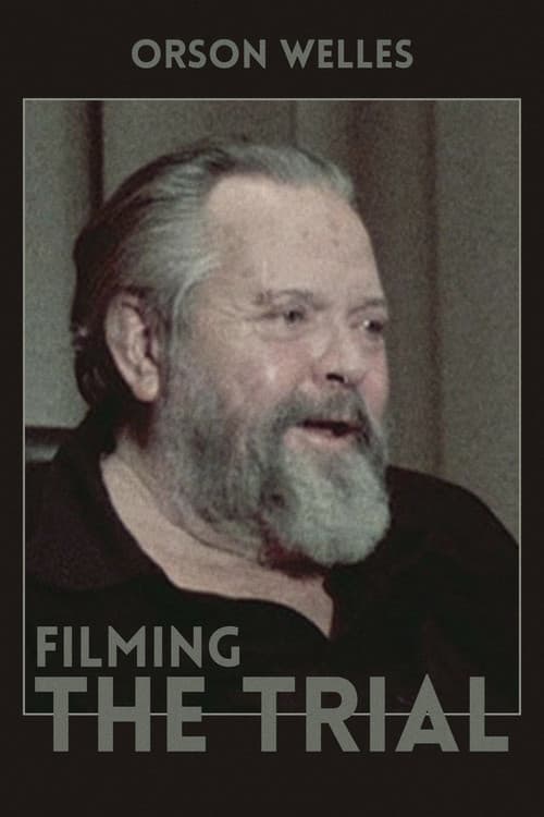 Poster for Filming 'The Trial'