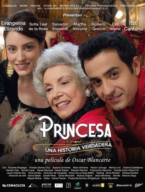 Poster for Princess, A True Story