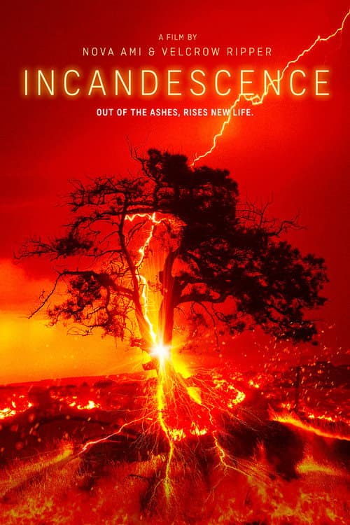 Poster for Incandescence