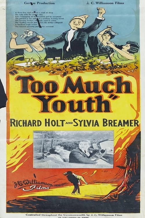 Poster for Too Much Youth