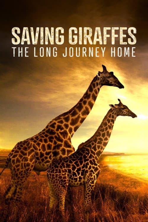 Poster for Saving Giraffes: The Long Journey Home