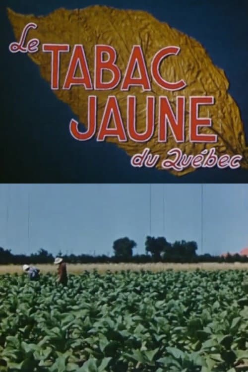 Poster for Yellow Tobacco from Quebec