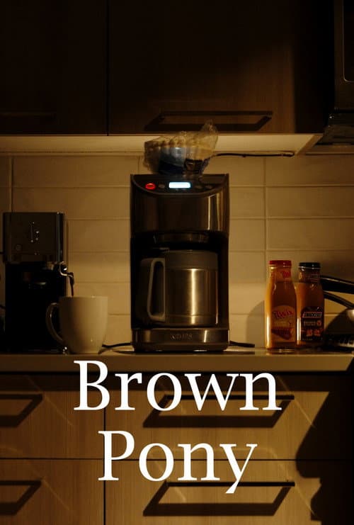 Постер до фільму «Brown Pony»