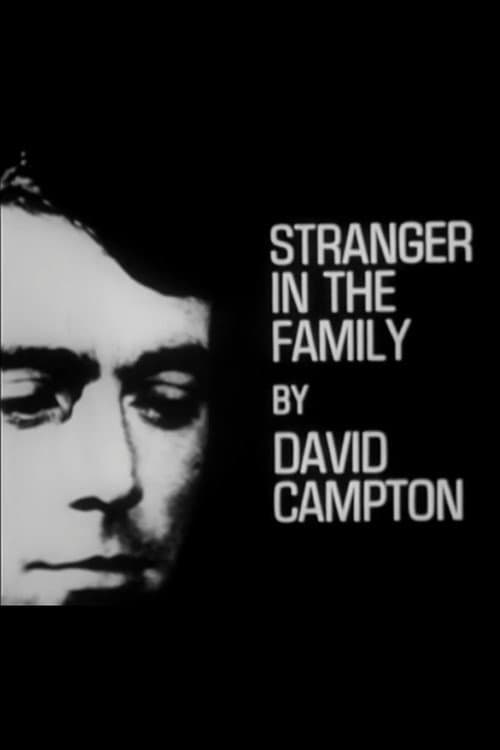 Poster for Stranger in the Family