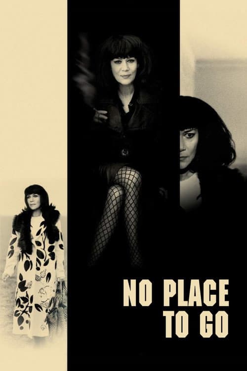 Poster for No Place to Go