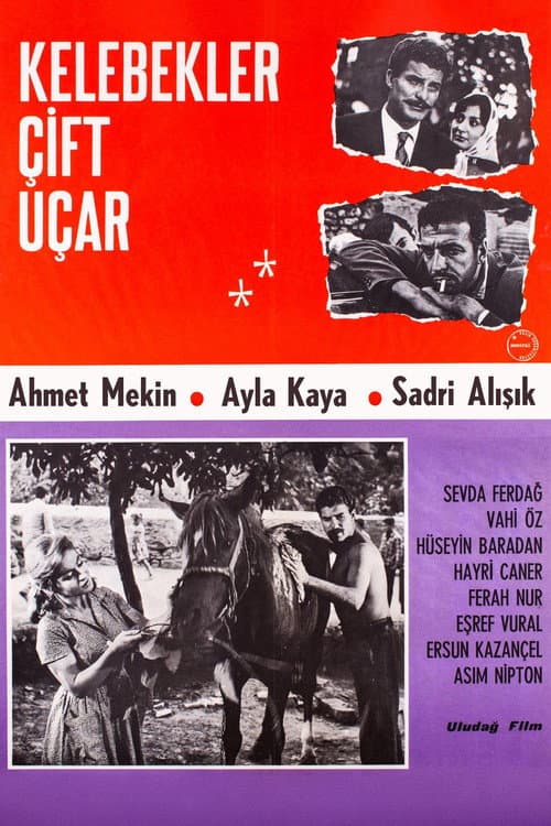Poster for Kelebekler Çift Uçar