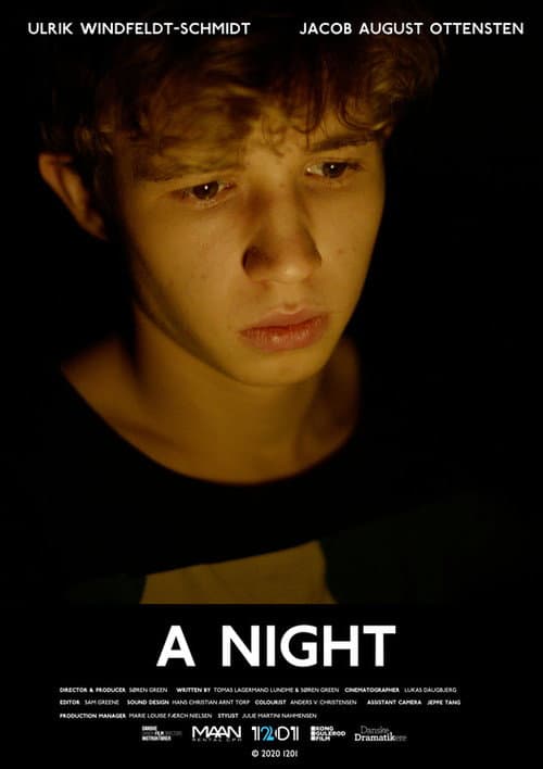 Poster for A Night