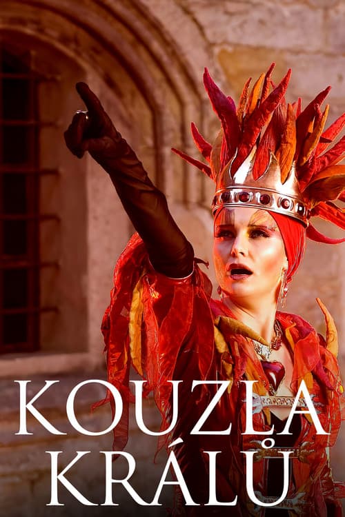 Poster for Kouzla králů