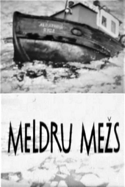 Poster for Meldru mežs