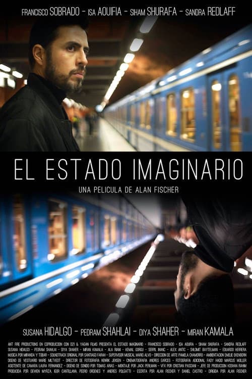 Poster for The Imaginary State