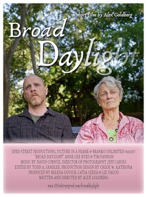 Poster for Broad Daylight