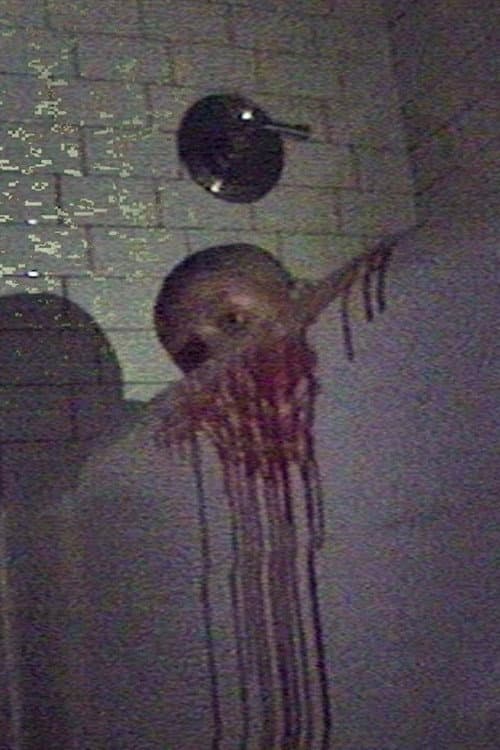 Poster for the ghost house