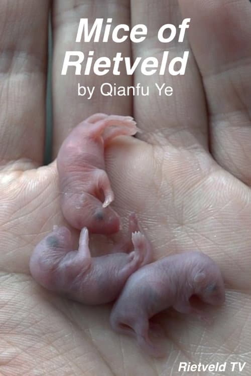 Poster for Mice of Rietveld