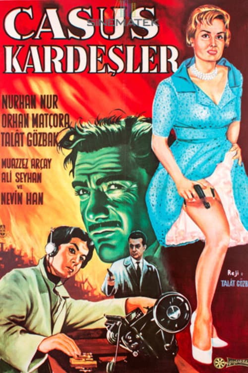 Poster for Spy Brothers