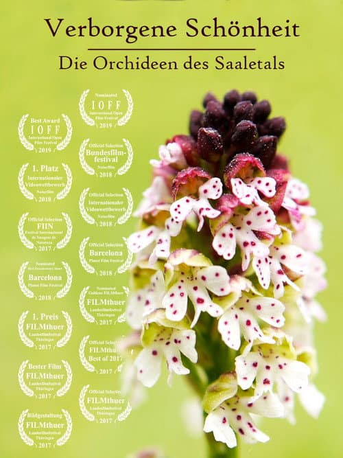 Poster for Hidden Beauty - The Orchids of the Saale Valley