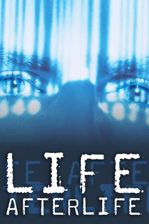 Poster for America Undercover: Life Afterlife