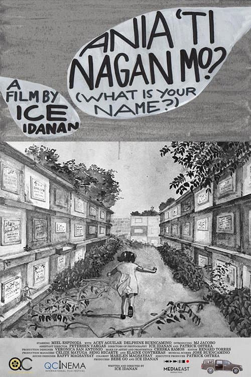 Poster for What is Your Name?