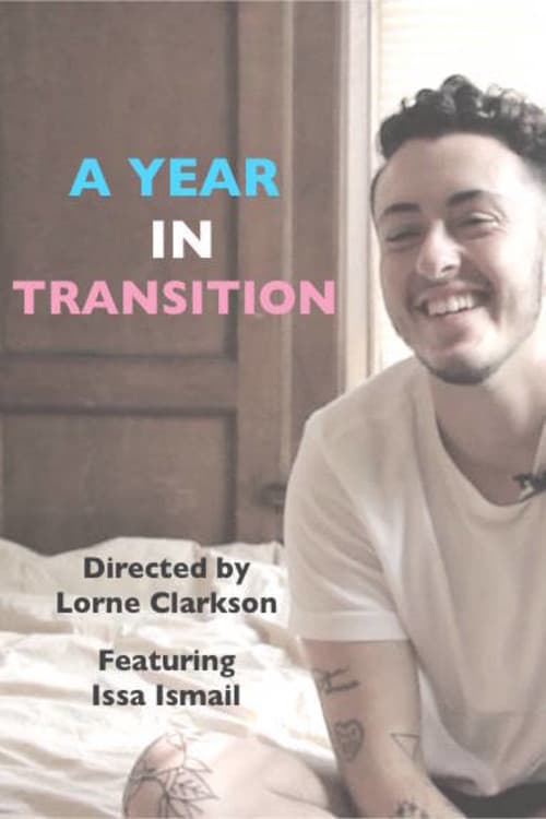 Poster for A Year in Transition