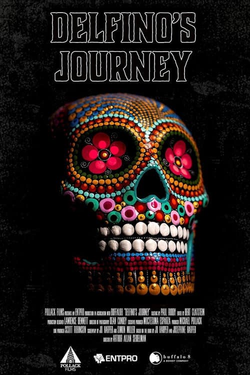 Poster for Delfino's Journey