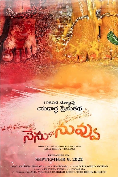 Poster for Nenu C/o Nuvvu