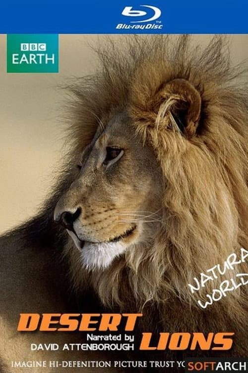 Poster for Desert Lions