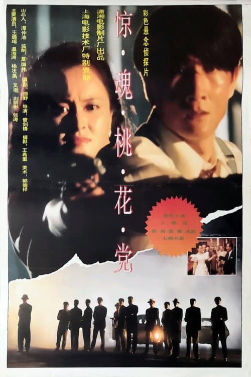 Poster for 惊魂桃花党