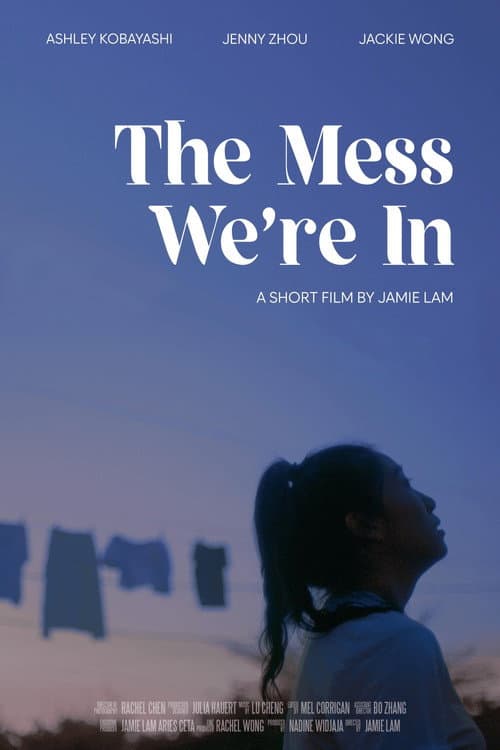 Poster for The Mess We're In
