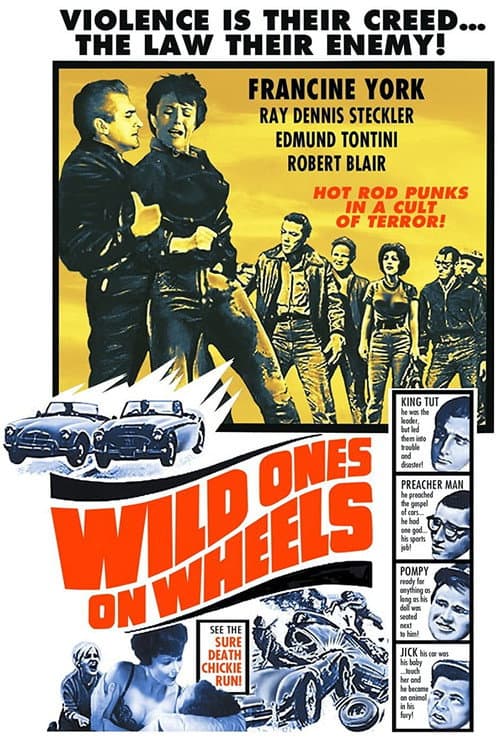 Poster for Wild Ones on Wheels
