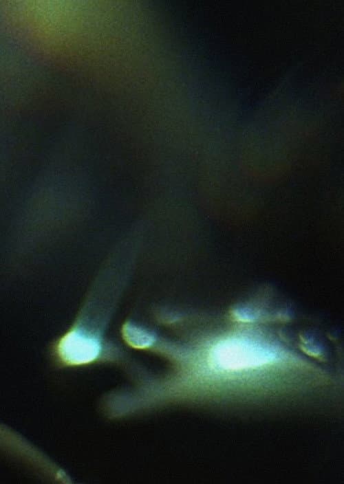Poster for Prisms