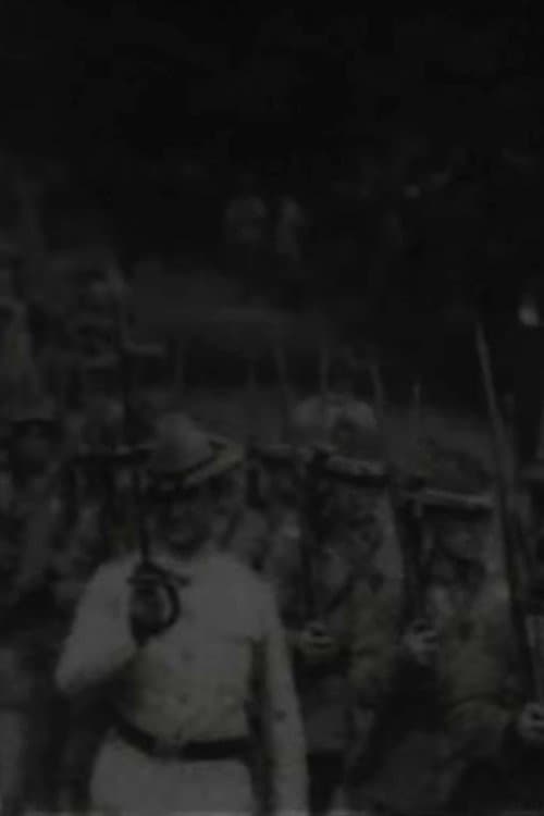 Poster for 15th Infantry