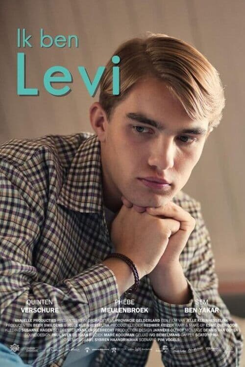 Poster for I'm Levi