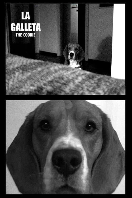 Poster for The Cookie