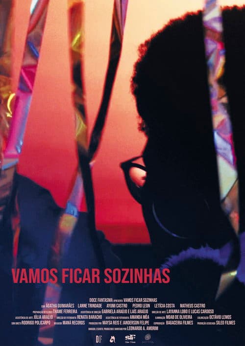 Poster for Vamos Ficar Sozinhas