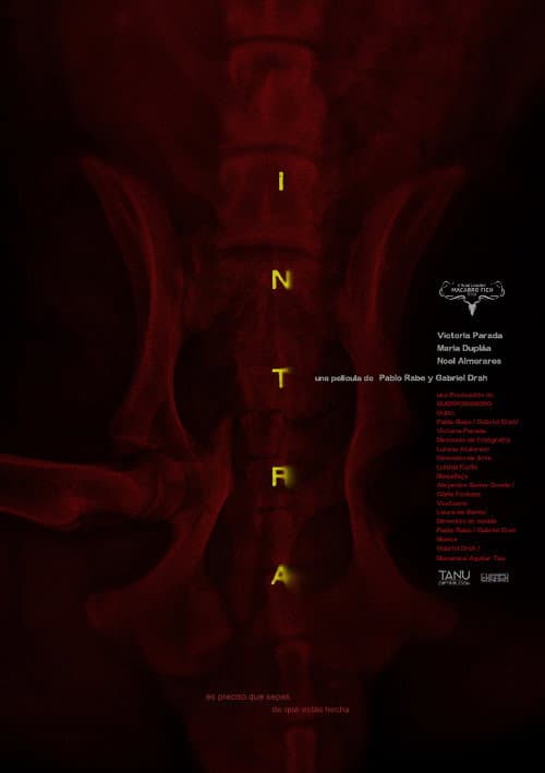 Poster for Intra