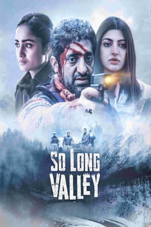 Poster for So Long Valley