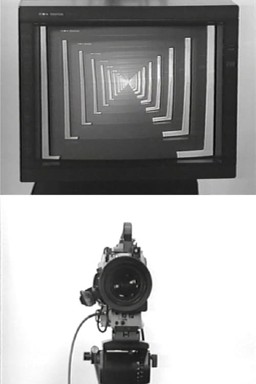 Poster for Observer / Observed