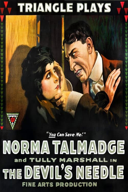 Poster for The Devil's Needle