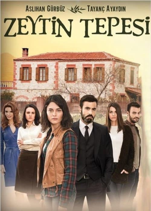 Poster for Zeytin Tepesi