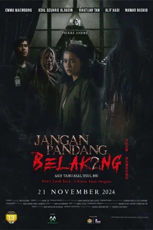 Poster for Don't Look Back... I Know Your Origins
