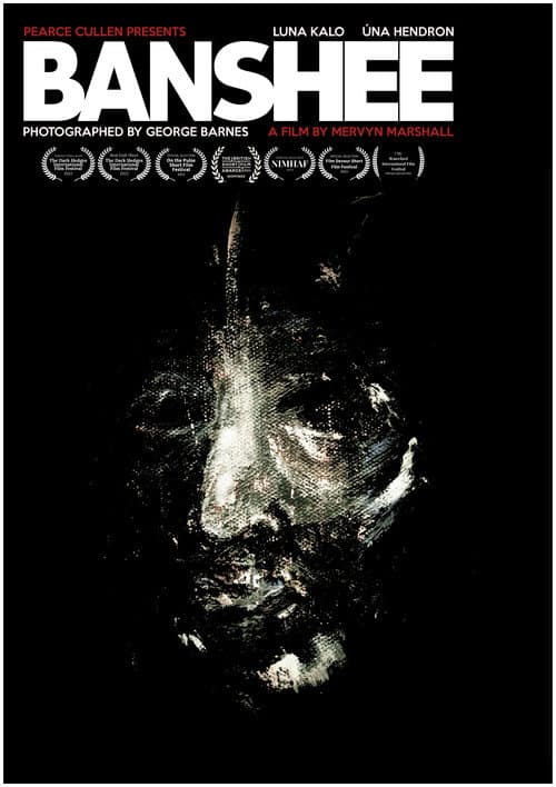 Poster for BANSHEE