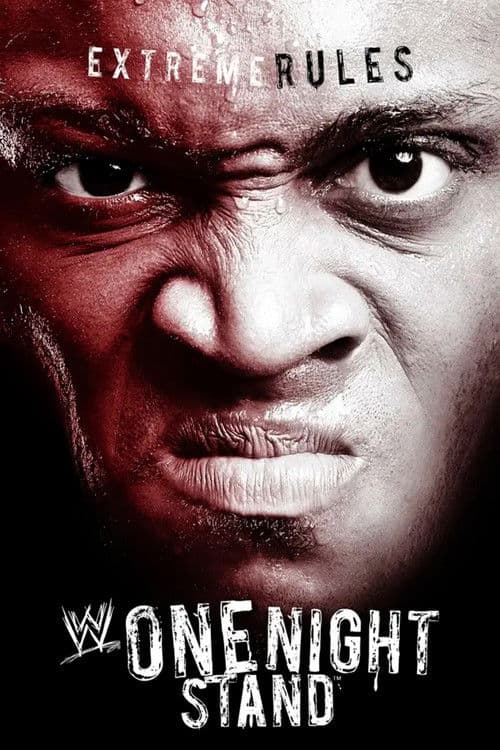 Poster for WWE One Night Stand 2007