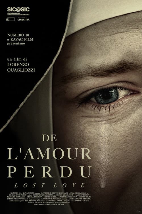 Poster for Lost Love