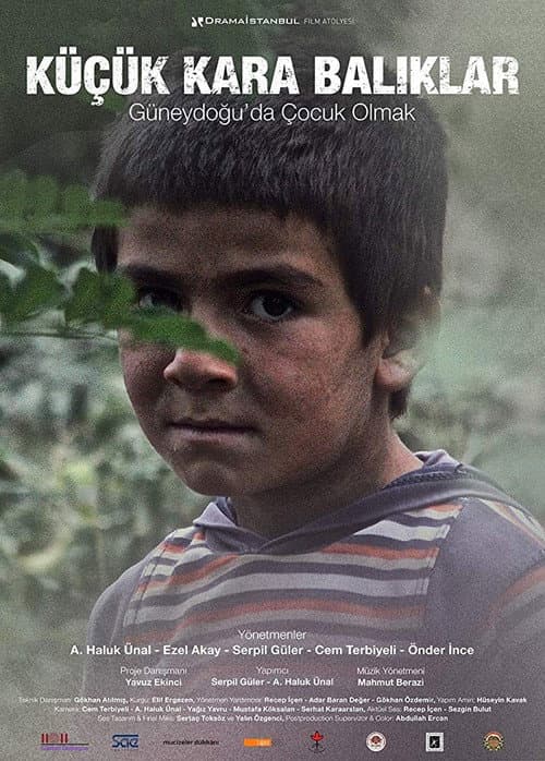 Poster for Little Black Fishes