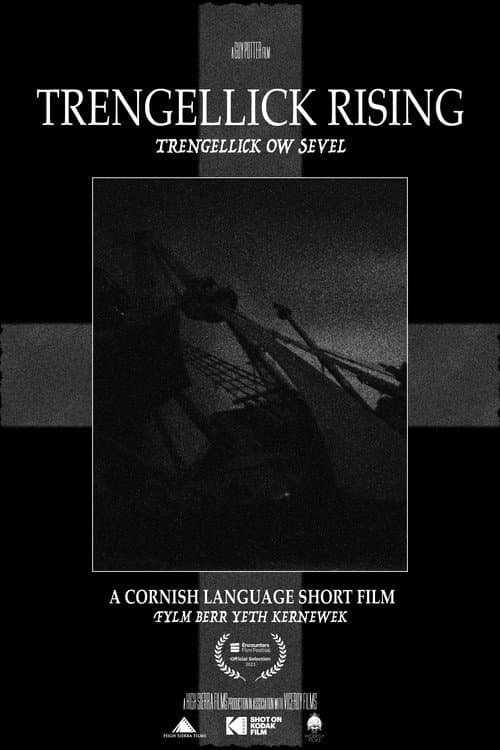 Poster for Trengellick Rising
