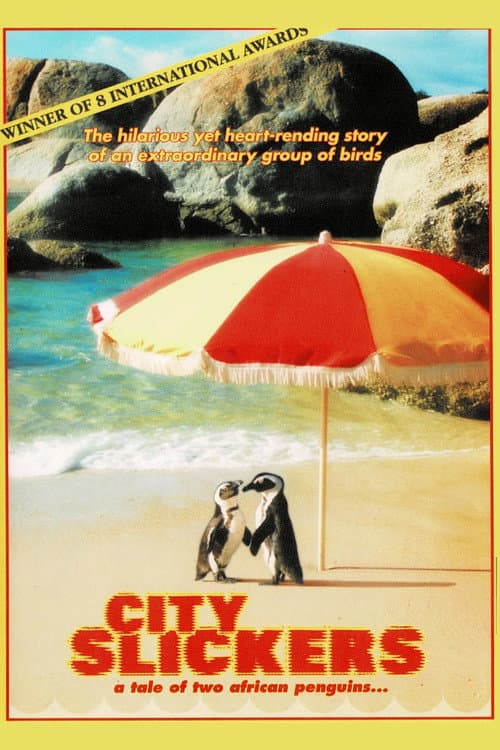 Poster for City Slickers: A tale of two African penguins