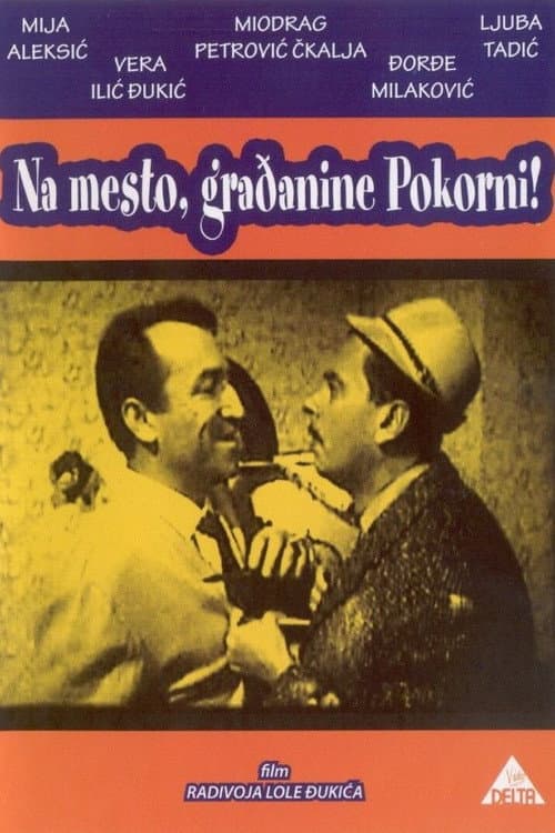 Poster for Citizen Pokorni