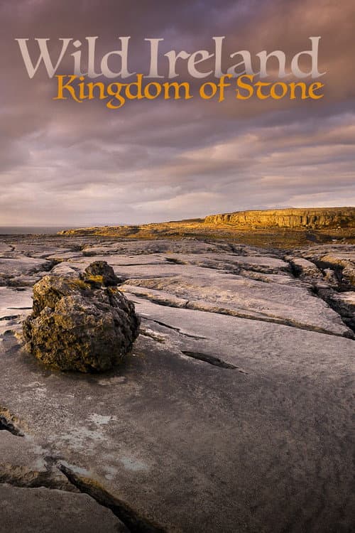 Постер до фільму «Wild Ireland: Kingdom of Stone»