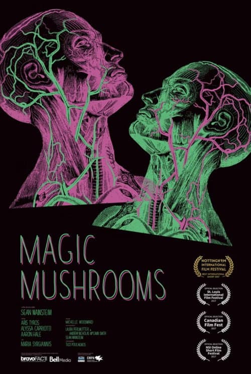 Poster for Magic Mushrooms